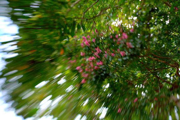 Shot with Lens Baby Spark 2.0 lens